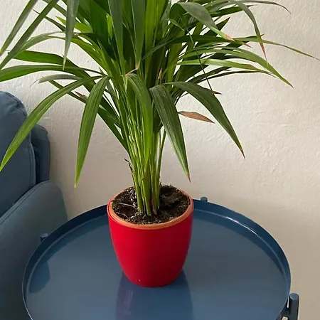 Sarahs Kite En Playa Del Burrero דירה